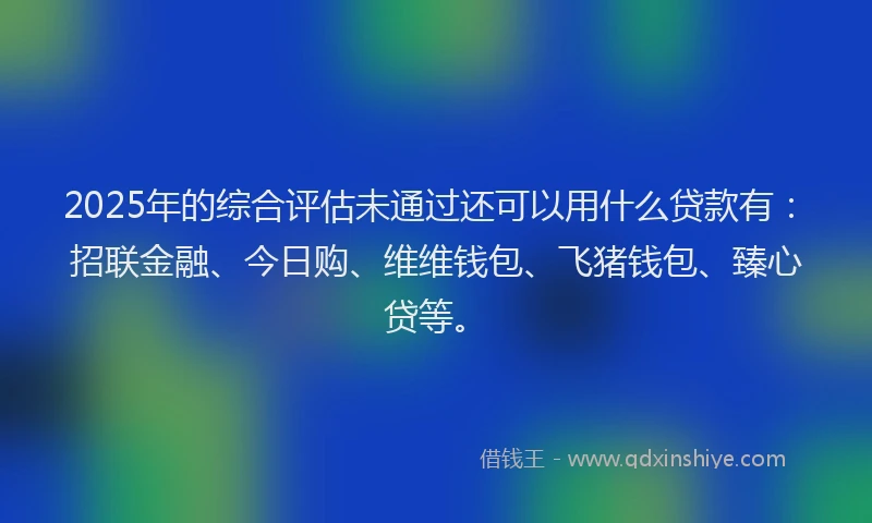 2025年的综合评估未通过还可以用什么贷款有：招联金融、今日购、维维钱包、飞猪钱包、臻心贷等。