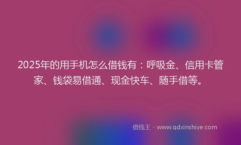 2025年的用手机怎么借钱有：呼吸金、信用卡管家、钱袋易借通、现金快车、随手借等。