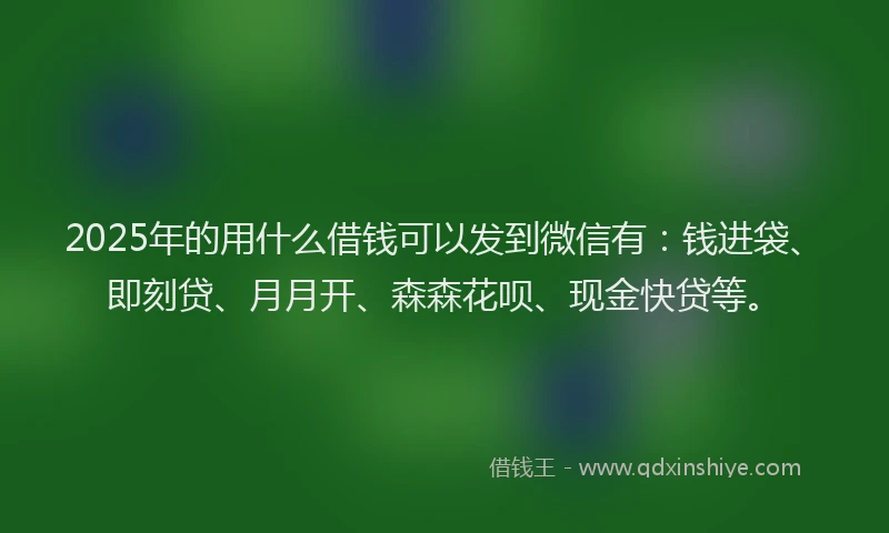 2025年的用什么借钱可以发到微信有：钱进袋、即刻贷、月月开、森森花呗、现金快贷等。