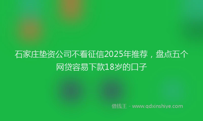 石家庄垫资公司不看征信2025年推荐，盘点五个网贷容易下款18岁的口子