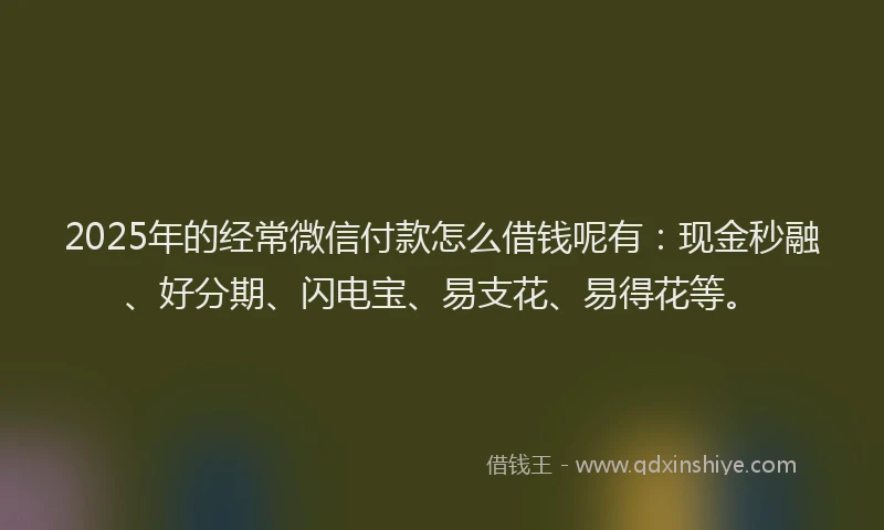 2025年的经常微信付款怎么借钱呢有：现金秒融、好分期、闪电宝、易支花、易得花等。