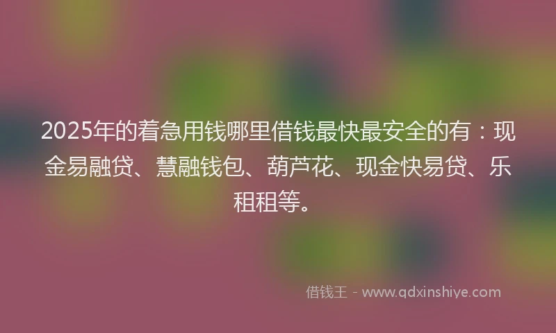 2025年的着急用钱哪里借钱最快最安全的有：现金易融贷、慧融钱包、葫芦花、现金快易贷、乐租租等。