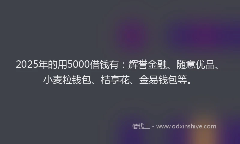 2025年的用5000借钱有：辉誉金融、随意优品、小麦粒钱包、桔享花、金易钱包等。