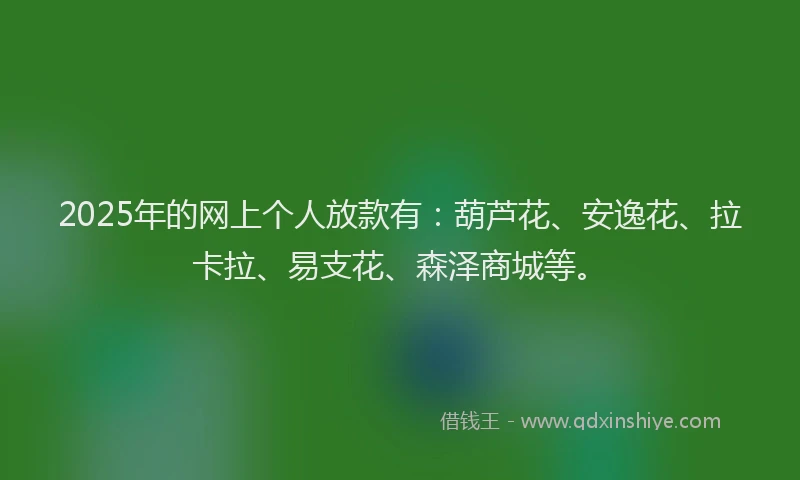 2025年的网上个人放款有：葫芦花、安逸花、拉卡拉、易支花、森泽商城等。