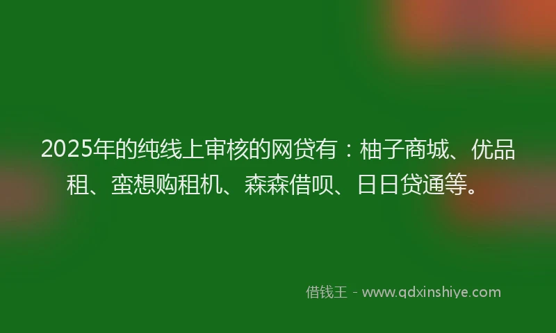 2025年的纯线上审核的网贷有：柚子商城、优品租、蛮想购租机、森森借呗、日日贷通等。