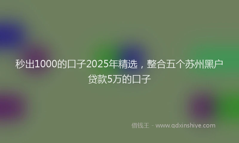 秒出1000的口子2025年精选，整合五个苏州黑户贷款5万的口子