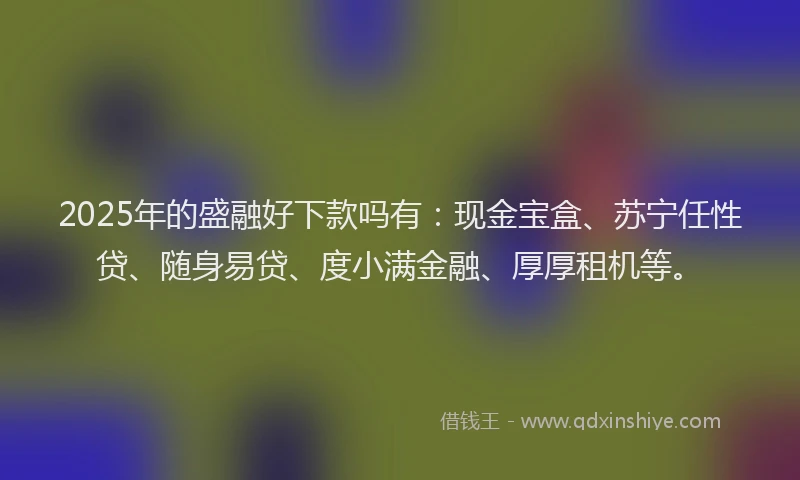 2025年的盛融好下款吗有：现金宝盒、苏宁任性贷、随身易贷、度小满金融、厚厚租机等。