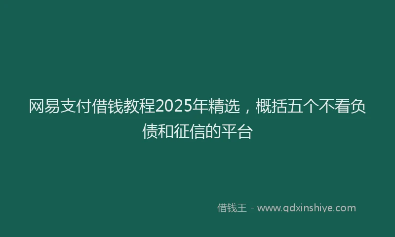 网易支付借钱教程2025年精选，概括五个不看负债和征信的平台