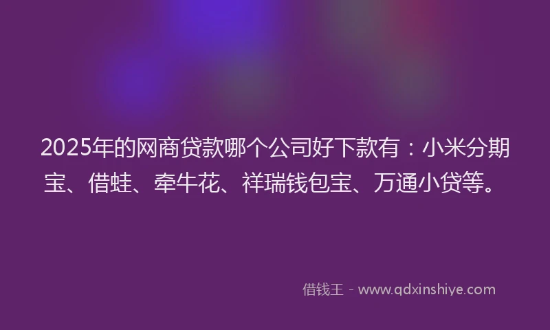 2025年的网商贷款哪个公司好下款有：小米分期宝、借蛙、牵牛花、祥瑞钱包宝、万通小贷等。