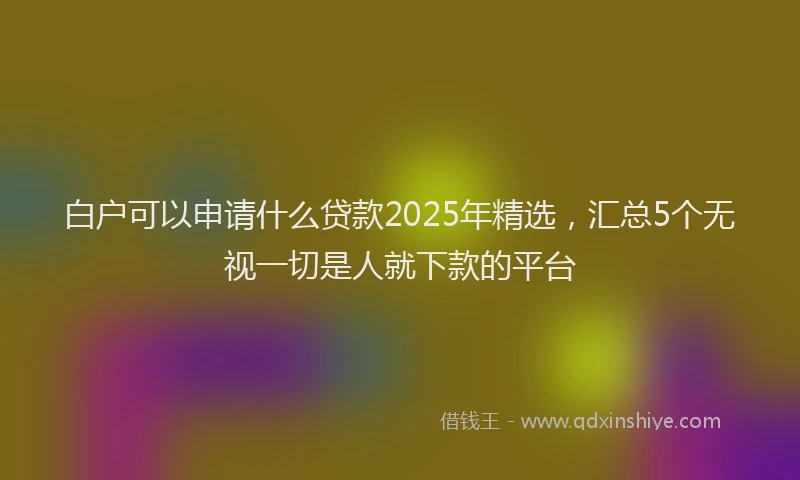 白户可以申请什么贷款2025年精选，汇总5个无视一切是人就下款的平台