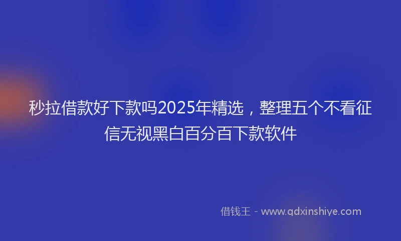 秒拉借款好下款吗2025年精选，整理五个不看征信无视黑白百分百下款软件