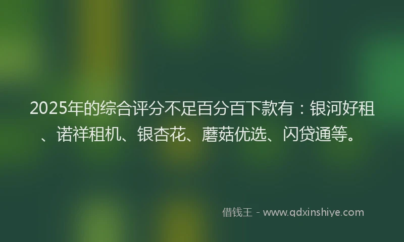 2025年的综合评分不足百分百下款有：银河好租、诺祥租机、银杏花、蘑菇优选、闪贷通等。