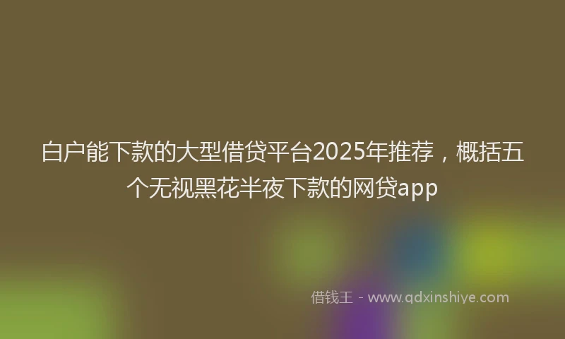 白户能下款的大型借贷平台2025年推荐，概括五个无视黑花半夜下款的网贷app