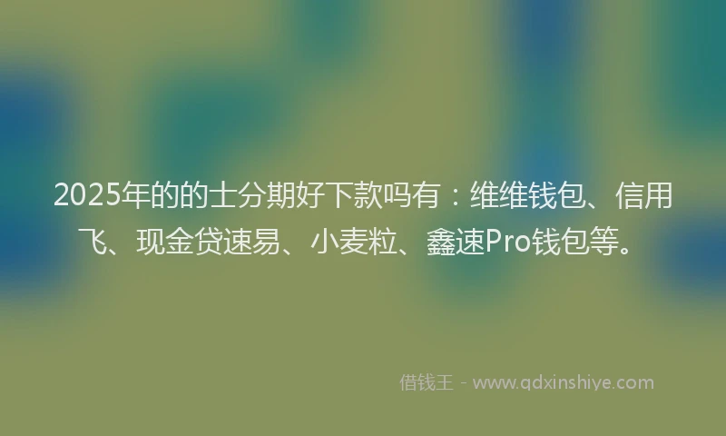 2025年的的士分期好下款吗有：维维钱包、信用飞、现金贷速易、小麦粒、鑫速Pro钱包等。