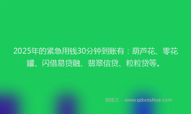2025年的紧急用钱30分钟到账有：葫芦花、零花罐、闪借易贷融、翡翠信贷、粒粒贷等。