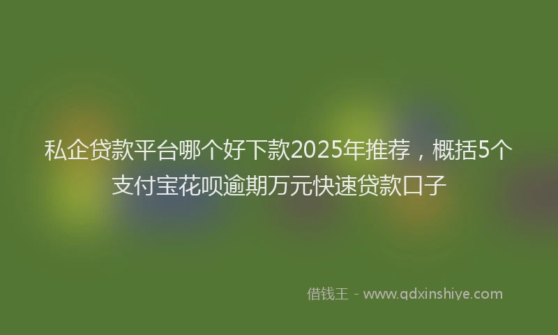 私企贷款平台哪个好下款2025年推荐，概括5个支付宝花呗逾期万元快速贷款口子