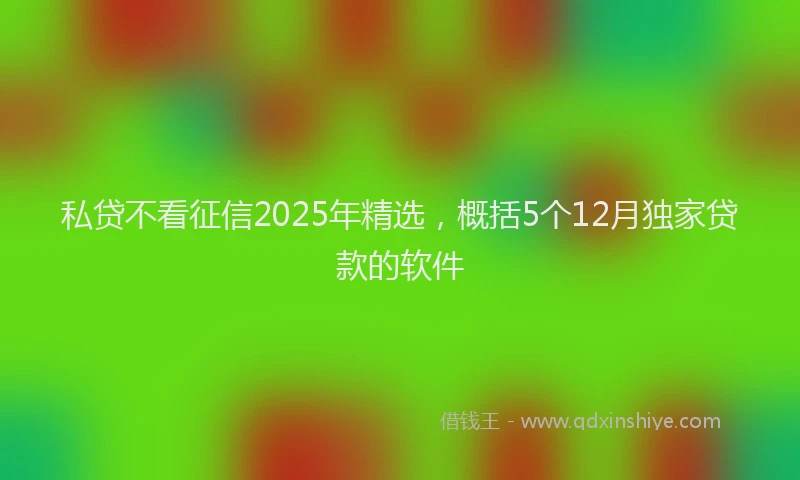 私贷不看征信2025年精选，概括5个12月独家贷款的软件