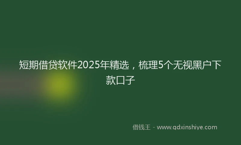 短期借贷软件2025年精选，梳理5个无视黑户下款口子