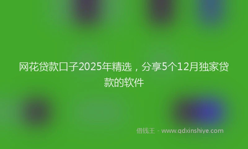 网花贷款口子2025年精选，分享5个12月独家贷款的软件