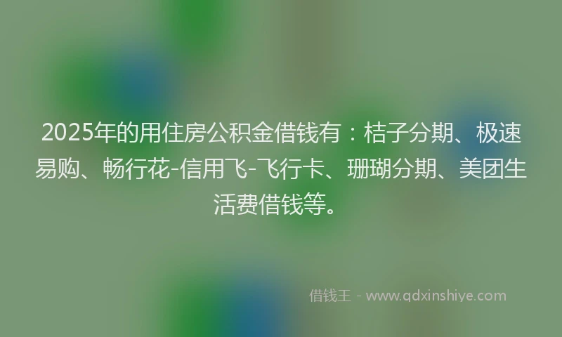2025年的用住房公积金借钱有：桔子分期、极速易购、畅行花-信用飞-飞行卡、珊瑚分期、美团生活费借钱等。