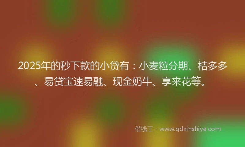 2025年的秒下款的小贷有：小麦粒分期、桔多多、易贷宝速易融、现金奶牛、享来花等。