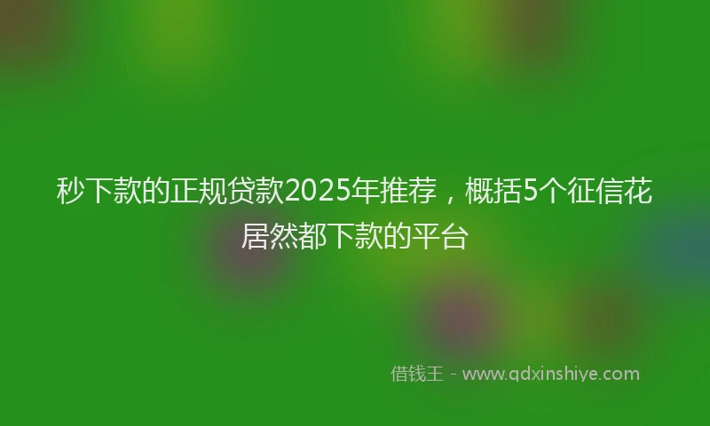 秒下款的正规贷款2025年推荐，概括5个征信花居然都下款的平台