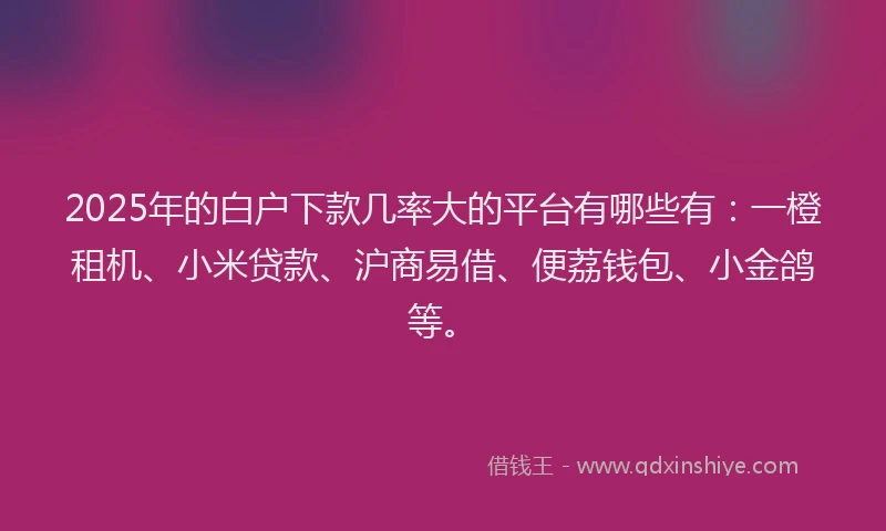 2025年的白户下款几率大的平台有哪些有：一橙租机、小米贷款、沪商易借、便荔钱包、小金鸽等。