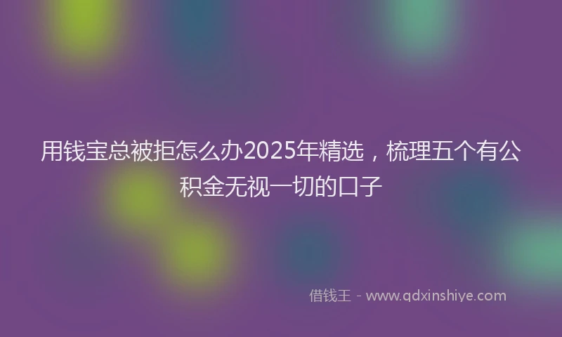 用钱宝总被拒怎么办2025年精选，梳理五个有公积金无视一切的口子