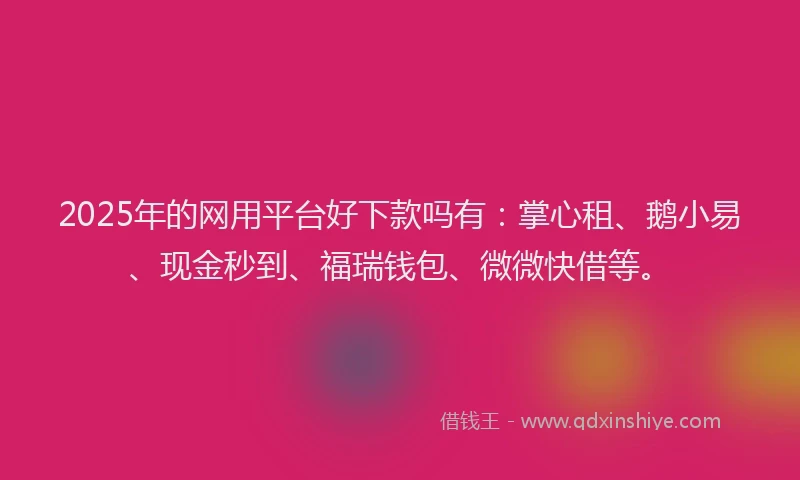 2025年的网用平台好下款吗有：掌心租、鹅小易、现金秒到、福瑞钱包、微微快借等。