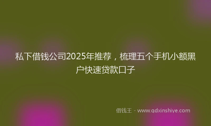 私下借钱公司2025年推荐，梳理五个手机小额黑户快速贷款口子