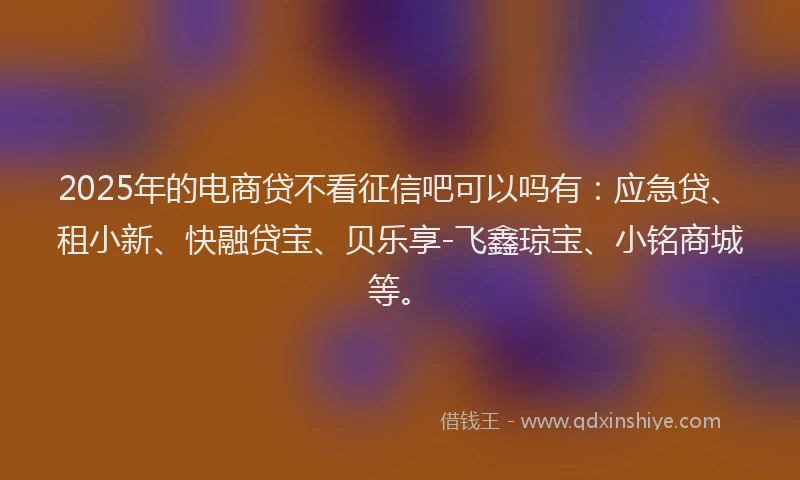 2025年的电商贷不看征信吧可以吗有：应急贷、租小新、快融贷宝、贝乐享-飞鑫琼宝、小铭商城等。