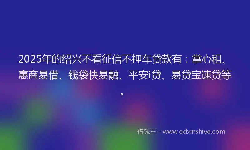 2025年的绍兴不看征信不押车贷款有：掌心租、惠商易借、钱袋快易融、平安i贷、易贷宝速贷等。
