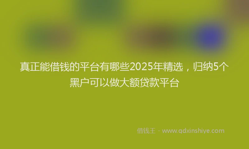 真正能借钱的平台有哪些2025年精选，归纳5个黑户可以做大额贷款平台