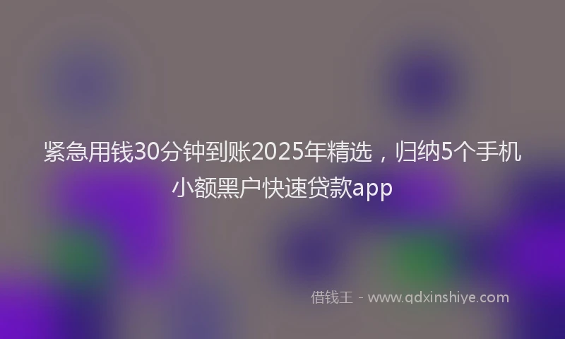 紧急用钱30分钟到账2025年精选，归纳5个手机小额黑户快速贷款app