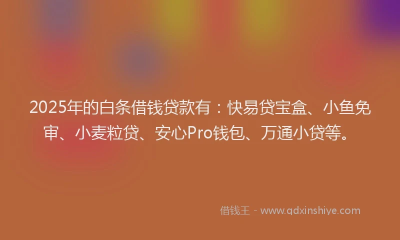 2025年的白条借钱贷款有：快易贷宝盒、小鱼免审、小麦粒贷、安心Pro钱包、万通小贷等。