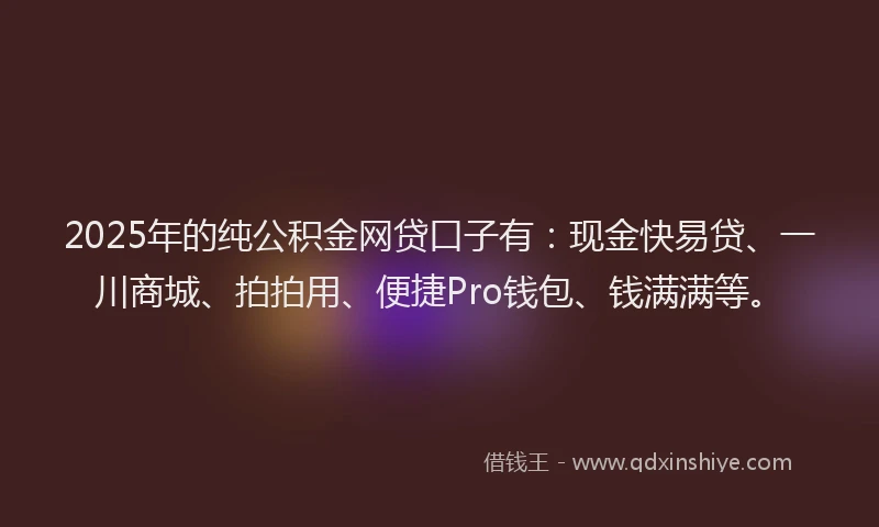 2025年的纯公积金网贷口子有：现金快易贷、一川商城、拍拍用、便捷Pro钱包、钱满满等。