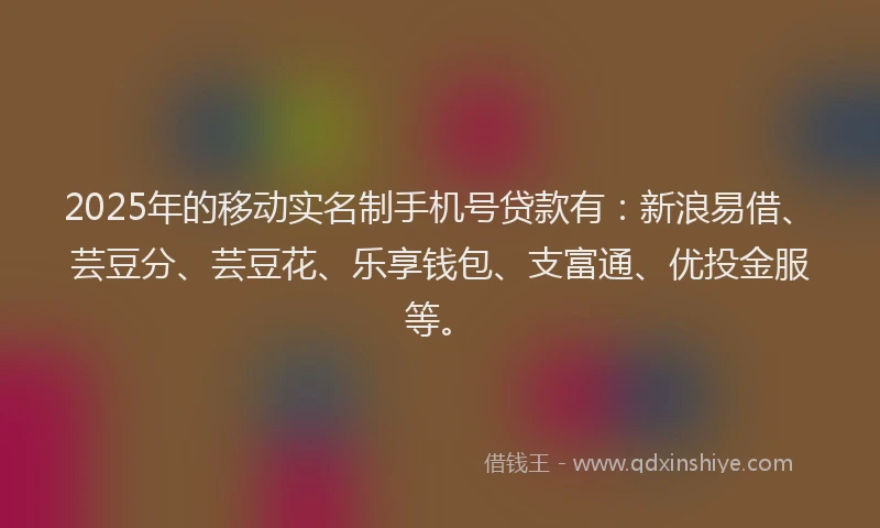 2025年的移动实名制手机号贷款有：新浪易借、芸豆分、芸豆花、乐享钱包、支富通、优投金服等。