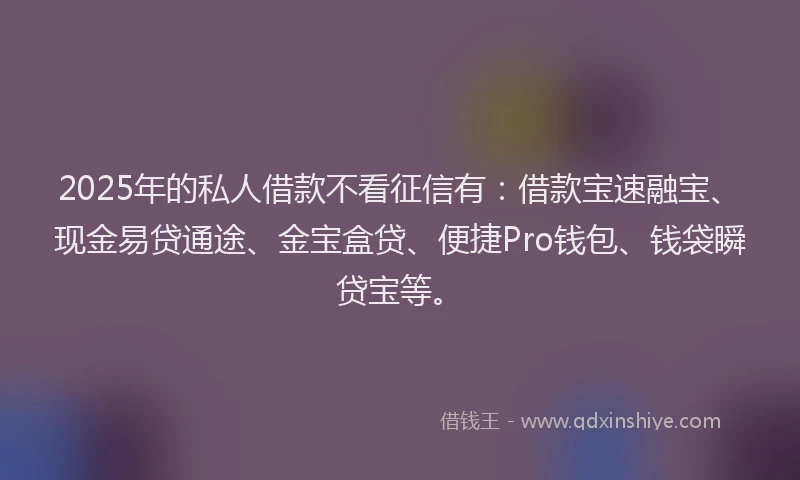 2025年的私人借款不看征信有：借款宝速融宝、现金易贷通途、金宝盒贷、便捷Pro钱包、钱袋瞬贷宝等。