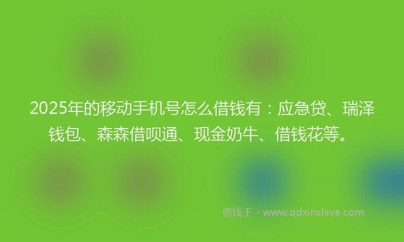 2025年的移动手机号怎么借钱有：应急贷、瑞泽钱包、森森借呗通、现金奶牛、借钱花等。