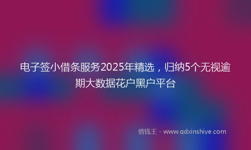 电子签小借条服务2025年精选，归纳5个无视逾期大数据花户黑户平台