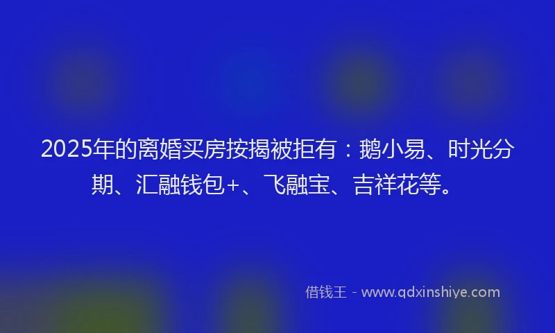 2025年的离婚买房按揭被拒有：鹅小易、时光分期、汇融钱包+、飞融宝、吉祥花等。