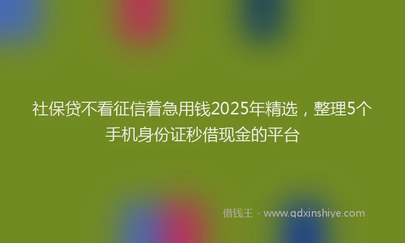 社保贷不看征信着急用钱2025年精选，整理5个手机身份证秒借现金的平台