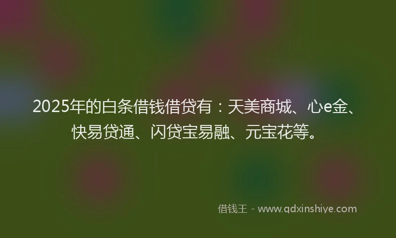 2025年的白条借钱借贷有：天美商城、心e金、快易贷通、闪贷宝易融、元宝花等。