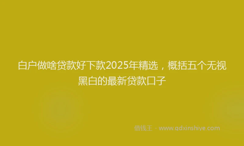 白户做啥贷款好下款2025年精选，概括五个无视黑白的最新贷款口子