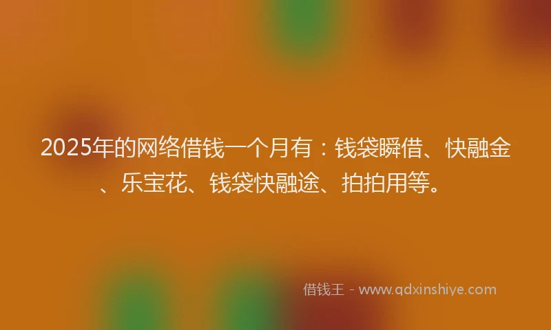 2025年的网络借钱一个月有：钱袋瞬借、快融金、乐宝花、钱袋快融途、拍拍用等。