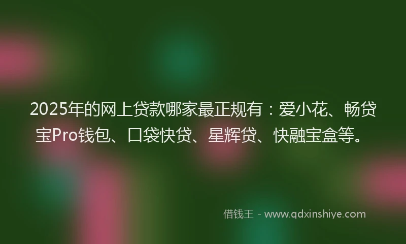 2025年的网上贷款哪家最正规有：爱小花、畅贷宝Pro钱包、口袋快贷、星辉贷、快融宝盒等。