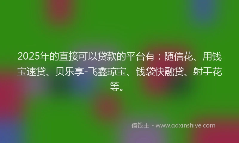 2025年的直接可以贷款的平台有：随信花、用钱宝速贷、贝乐享-飞鑫琼宝、钱袋快融贷、射手花等。
