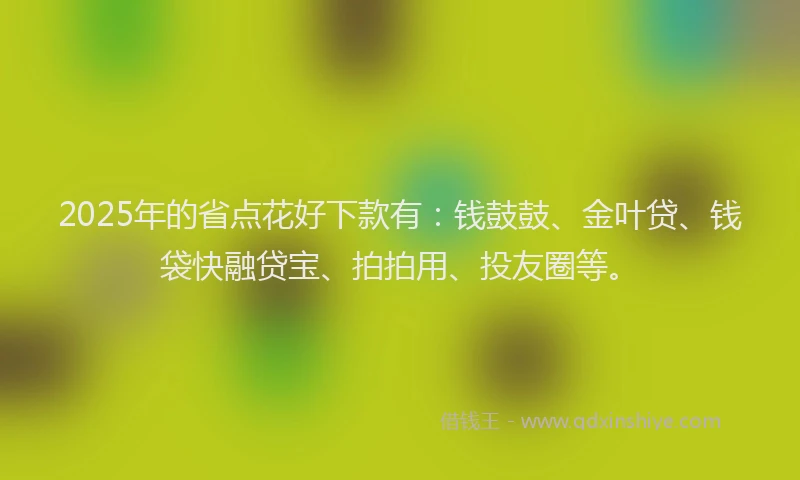 2025年的省点花好下款有：钱鼓鼓、金叶贷、钱袋快融贷宝、拍拍用、投友圈等。