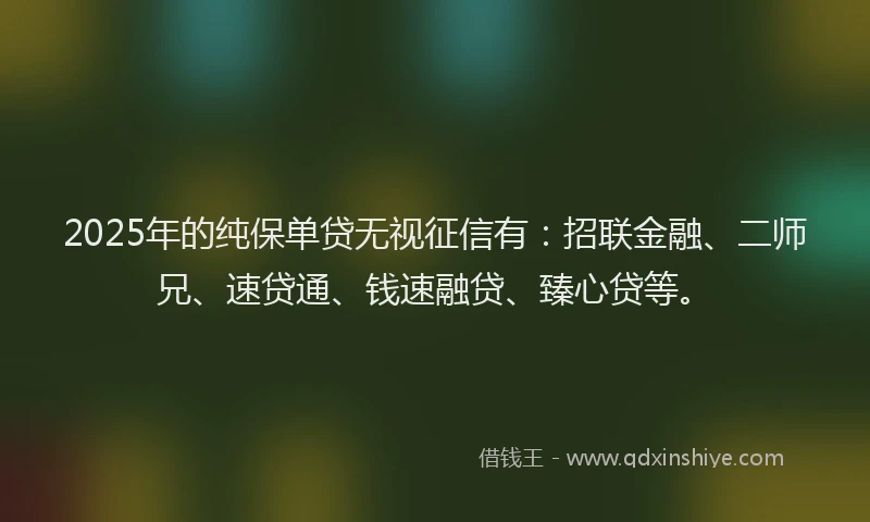 2025年的纯保单贷无视征信有：招联金融、二师兄、速贷通、钱速融贷、臻心贷等。