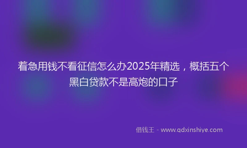 着急用钱不看征信怎么办2025年精选，概括五个黑白贷款不是高炮的口子